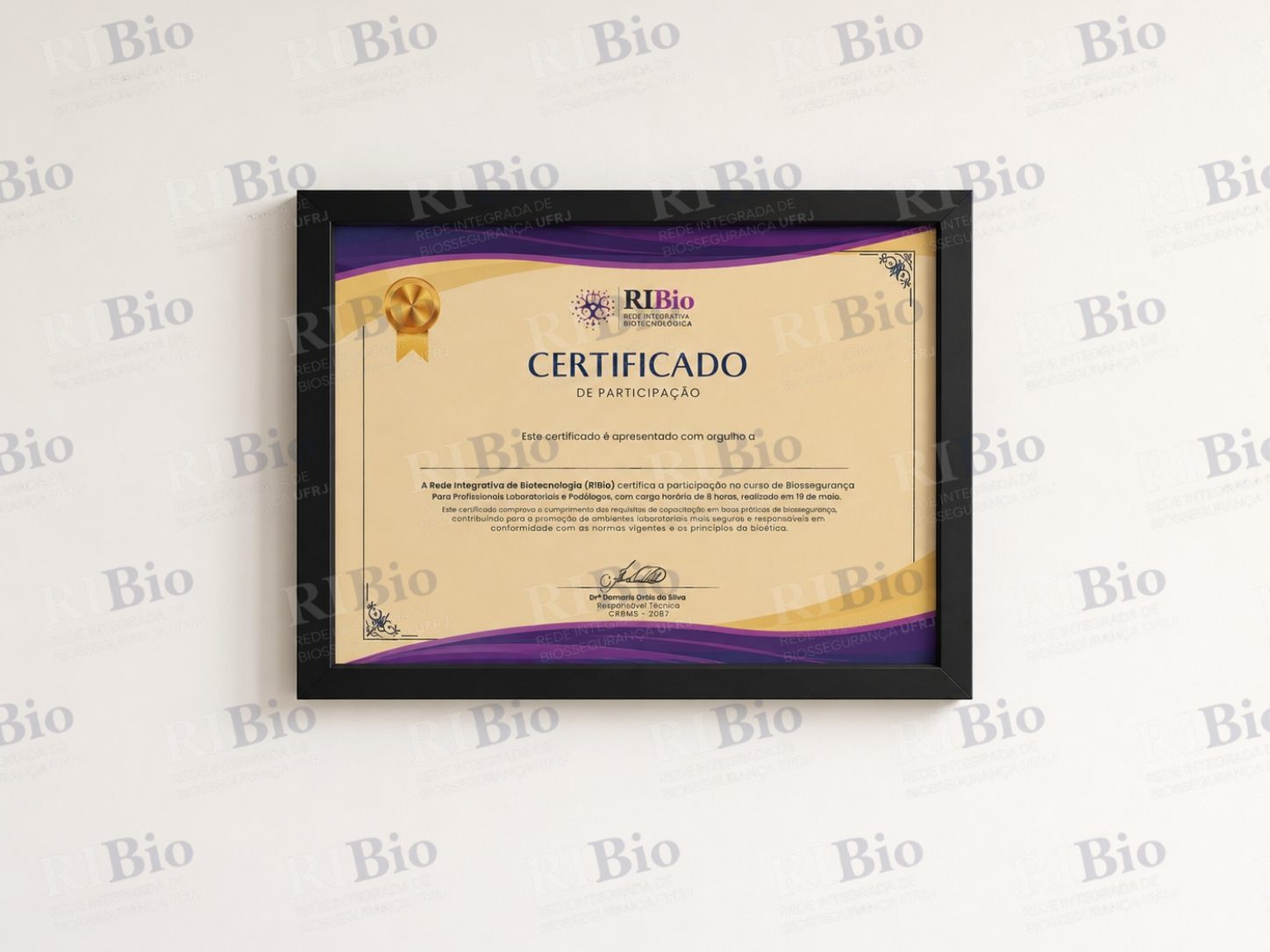Certificado colorido com moldura